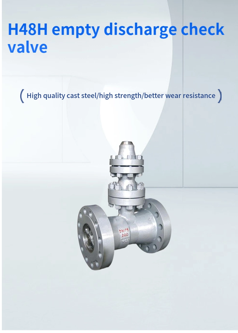 H48h Empty Discharge Check Valve