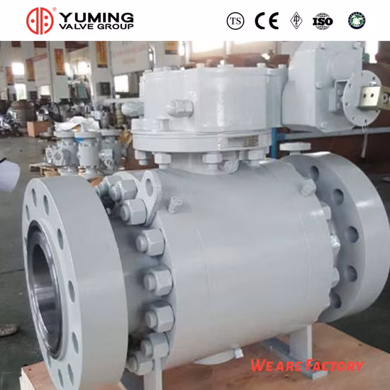 API 6D e API608 Acciaio fuso, WCB, acciaio al carbonio, acciaio inossidabile CF8, CF8m, A105/F304/F316 Valvola a sfera montata su perno su tubazione flangiata 2PC con funzionamento a ingranaggi